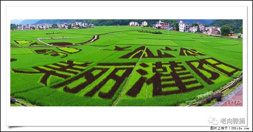 【春天，广西桂林灌阳县向您发出邀请！】开篇 - 游山玩水 - 济宁生活社区 - 济宁28生活网 jining.28life.com