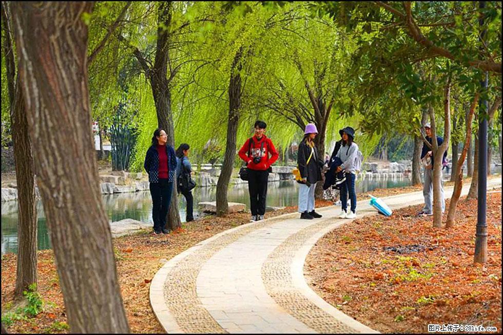 【春天,广西桂林灌阳县向您发出邀请!】江口老街又逢春 - 游山玩水 - 济宁生活社区 - 济宁28生活网 jining.28life.com
