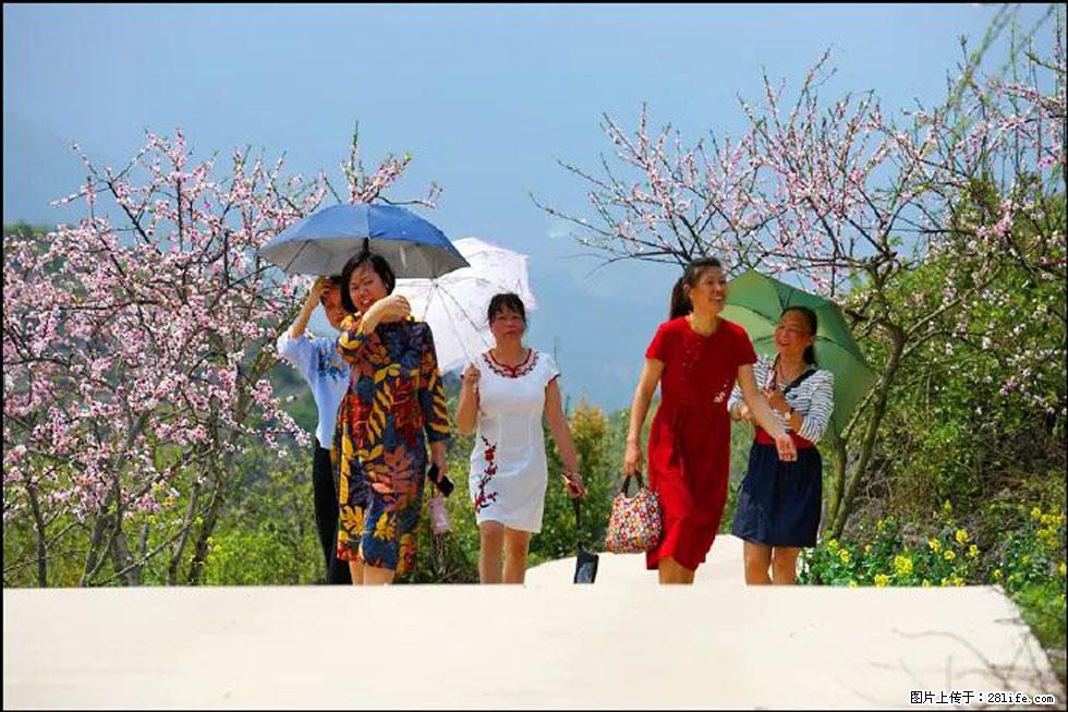 【春天，广西桂林灌阳县向您发出邀请！】望月岭上桃花开 - 游山玩水 - 济宁生活社区 - 济宁28生活网 jining.28life.com