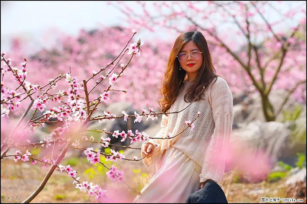 【春天，广西桂林灌阳县向您发出邀请！】望月岭上桃花开 - 游山玩水 - 济宁生活社区 - 济宁28生活网 jining.28life.com