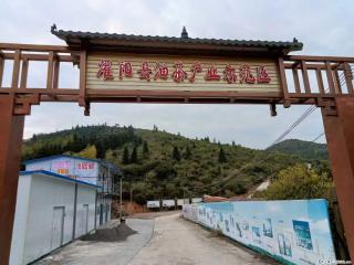 【灌阳县油茶产业示范区】一个有着充实的精神生活的人,对待身外之物自会有一种淡泊的态度 - 济宁28生活网 jining.28life.com