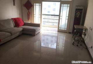 都市春天 吴泰闸路 房东配家电家具齐全 仙营绿地北 - 济宁28生活网 jining.28life.com