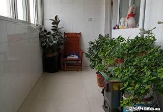 建设北路苗都新苑小区精装修拎包入住 - 济宁28生活网 jining.28life.com
