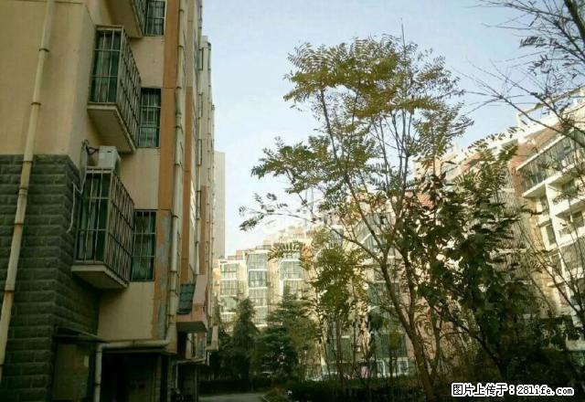 杨柳国际新城二室二厅齐全精装拎包入住 - 房屋出租 - 房屋租售 - 济宁分类信息 - 济宁28生活网 jining.28life.com