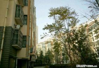 杨柳国际新城二室二厅齐全精装拎包入住 - 济宁28生活网 jining.28life.com