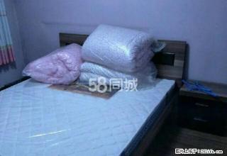 太白路百货大楼西运河小区全套家具家电拎包入住 - 济宁28生活网 jining.28life.com