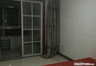 急出租刚刷的新房子光明小区,经典户型,南北通透,看房方便 - 济宁28生活网 jining.28life.com