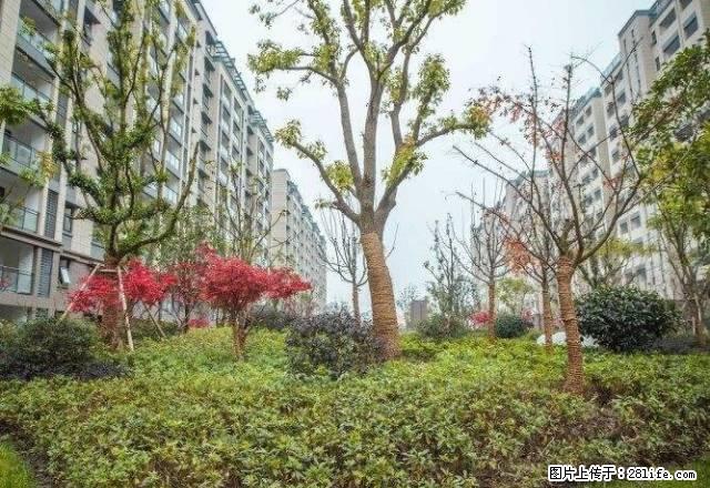 同济花园5楼,2室精装修,家具家电齐全拎包入住 新房子 - 房屋出租 - 房屋租售 - 济宁分类信息 - 济宁28生活网 jining.28life.com