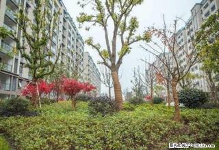 同济花园5楼,2室精装修,家具家电齐全拎包入住 新房子 - 济宁28生活网 jining.28life.com