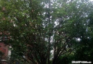 兴唐国翠城 四季恒温 拎包入住 - 济宁28生活网 jining.28life.com