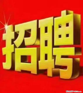 【东莞市威萨电子科技有限公司】公司直招:外贸业务、仓管员、跟单文员、普工 - 济宁28生活网 jining.28life.com