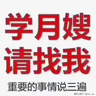 【招聘】月嫂，上海徐汇区 - 济宁28生活网 jining.28life.com