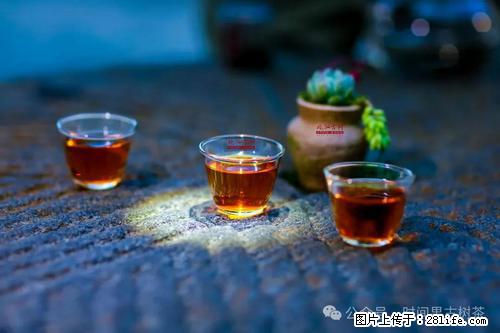 时间果百年古树2025年春红茶 - 购物交流 - 济宁生活社区 - 济宁28生活网 jining.28life.com