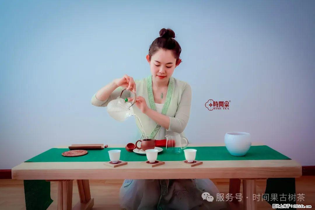 时间果百年古树龙珠普洱生茶 - 购物交流 - 济宁生活社区 - 济宁28生活网 jining.28life.com