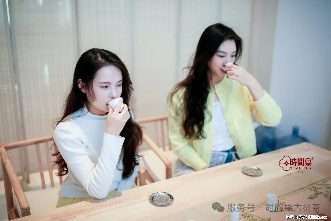 时间果百年古树龙珠普洱生茶 - 购物交流 - 济宁生活社区 - 济宁28生活网 jining.28life.com