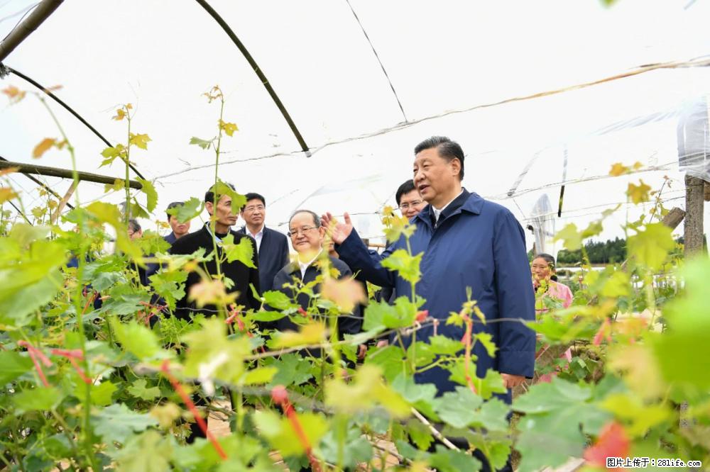 习近平赴广西考察调研 - 济宁生活资讯 - 济宁28生活网 jining.28life.com