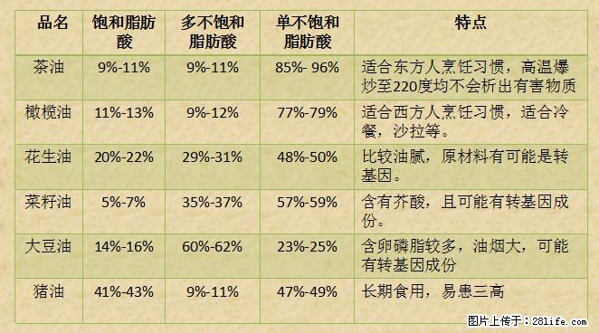 揭秘茶油的5大核心营养成分!被称为人体健康的“守护盾”! - 济宁生活资讯 - 济宁28生活网 jining.28life.com