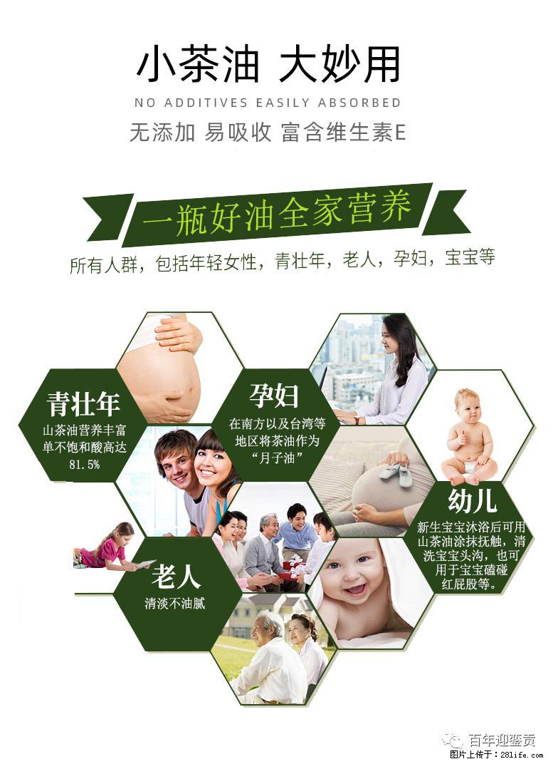 世界没有真相,只有认知,最好的食用油是中国的山茶油! - 济宁生活资讯 - 济宁28生活网 jining.28life.com
