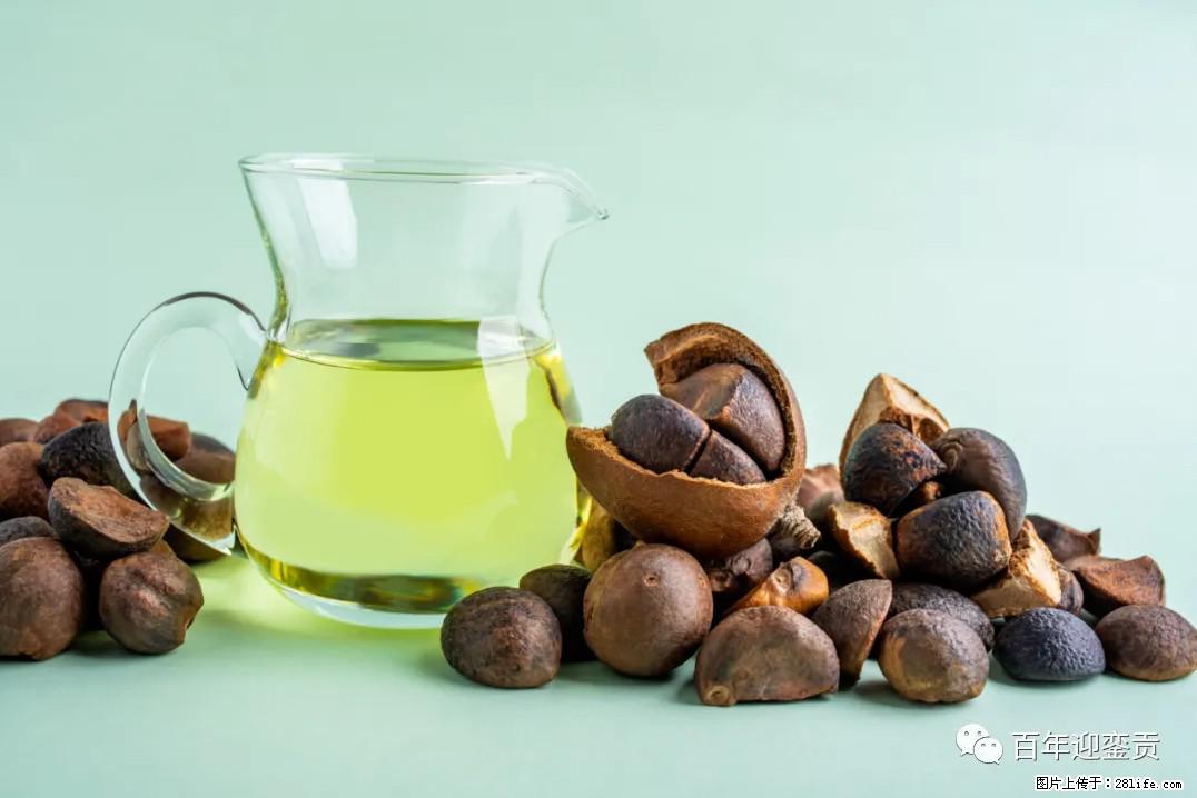 世界没有真相，只有认知，最好的食用油是中国的山茶油！ - 济宁生活资讯 - 济宁28生活网 jining.28life.com