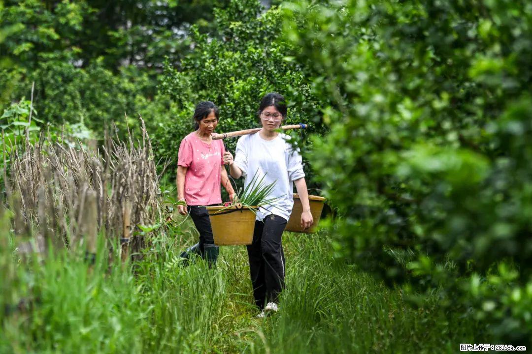 全网追的“扁担女孩”,找了一份暑假工,时薪12元 - 济宁生活资讯 - 济宁28生活网 jining.28life.com