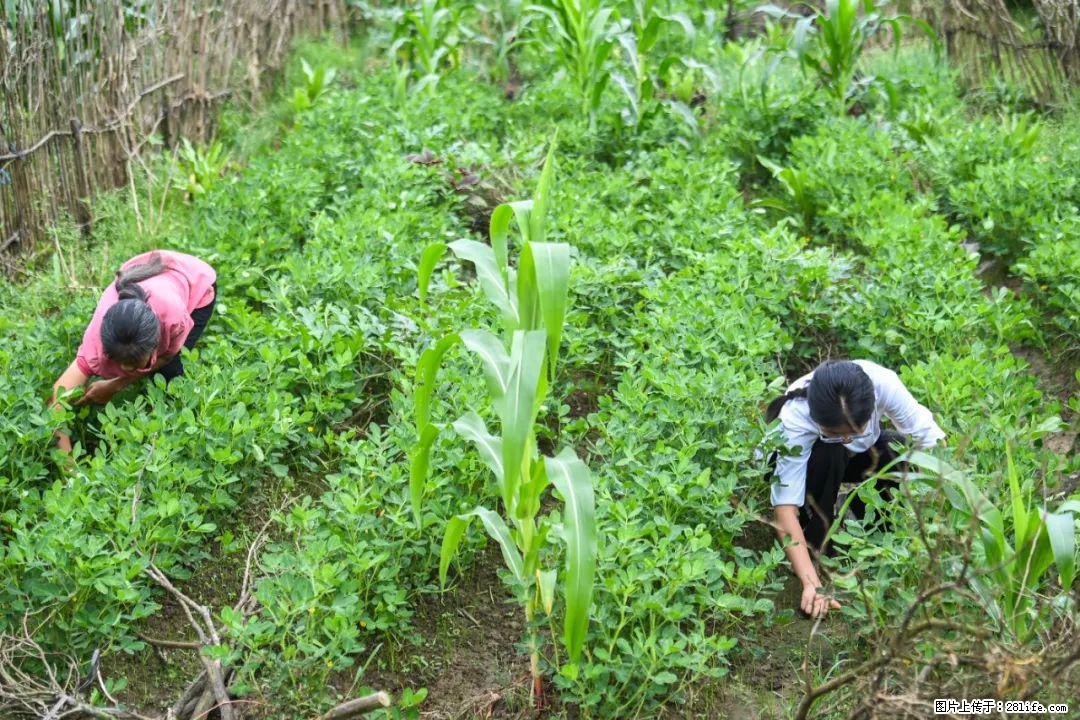 全网追的“扁担女孩”,找了一份暑假工,时薪12元 - 济宁生活资讯 - 济宁28生活网 jining.28life.com