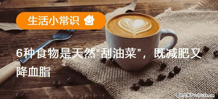 【生活小常识】6种食物是天然“刮油菜”,既减肥又降血脂 - 济宁生活资讯 - 济宁28生活网 jining.28life.com