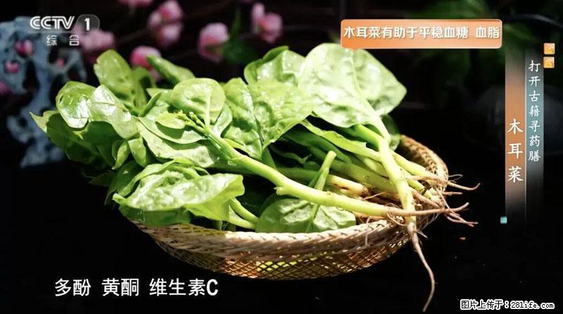 比牛奶补钙还厉害!凉血解毒、稳血糖...这菜冬天必吃,很多人却当草 - 济宁生活资讯 - 济宁28生活网 jining.28life.com