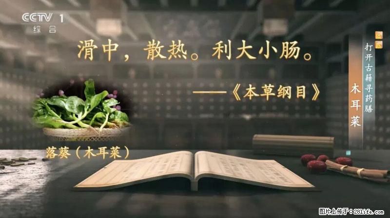 比牛奶补钙还厉害!凉血解毒、稳血糖...这菜冬天必吃,很多人却当草 - 济宁生活资讯 - 济宁28生活网 jining.28life.com