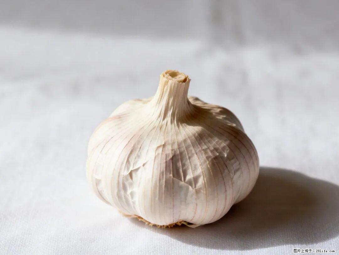 关于大蒜,除了“天然抗生素”,这4个谣言更该警惕! - 济宁生活资讯 - 济宁28生活网 jining.28life.com