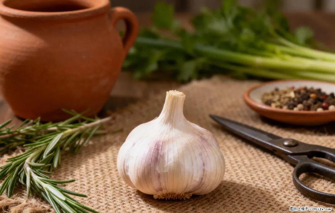 关于大蒜,除了“天然抗生素”,这4个谣言更该警惕! - 济宁生活资讯 - 济宁28生活网 jining.28life.com