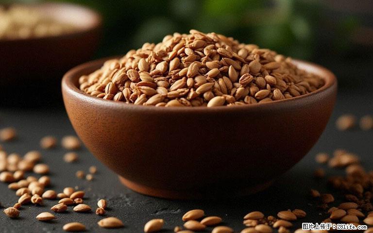 这三苦是三高“克星”,心血管干净不易堵!每天吃一点,指标慢慢降下来~ - 济宁生活资讯 - 济宁28生活网 jining.28life.com