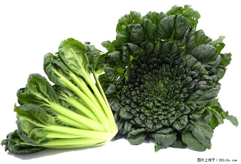 这些蔬菜是“天然钙片”，这6种被医生重点推荐 - 济宁生活资讯 - 济宁28生活网 jining.28life.com