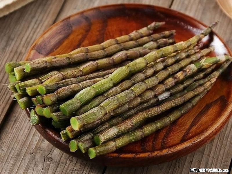 铁皮石斛的作用与功能主治 - 济宁生活资讯 - 济宁28生活网 jining.28life.com