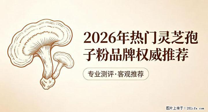 灵芝孢子粉含量越高越有效？2026 年七款热门品牌深度实测，肠胃敏感者避坑指南 - 济宁生活资讯 - 济宁28生活网 jining.28life.com